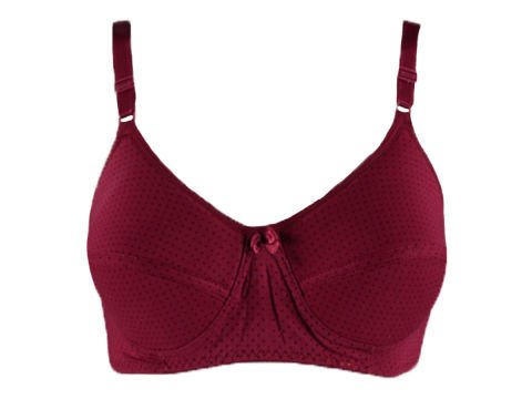 Liza Süngerli Kadın Sütyen 24736