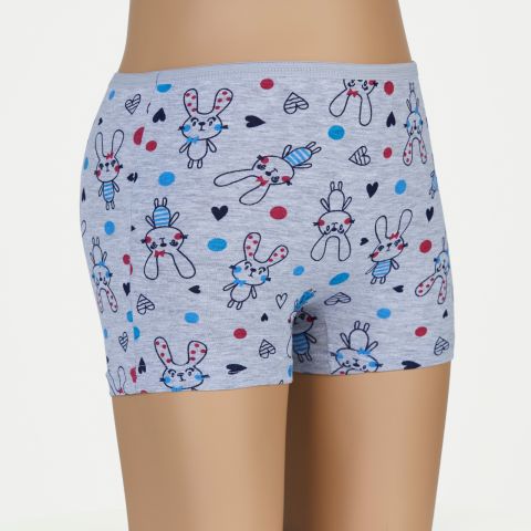 6'lı Dondeza 403 Empirme Kız Çocuk Boxer