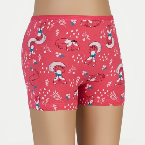 6'lı Dondeza 403 Empirme Kız Çocuk Boxer